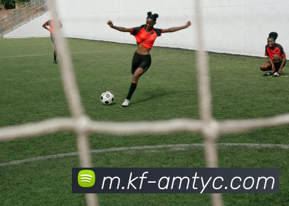 澳门太阳城平台生态图