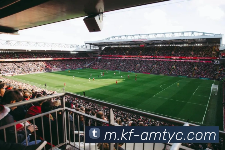 澳门太阳城全站App